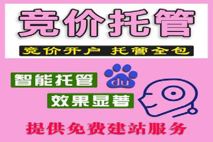 顶级SEM运营公司案例分析